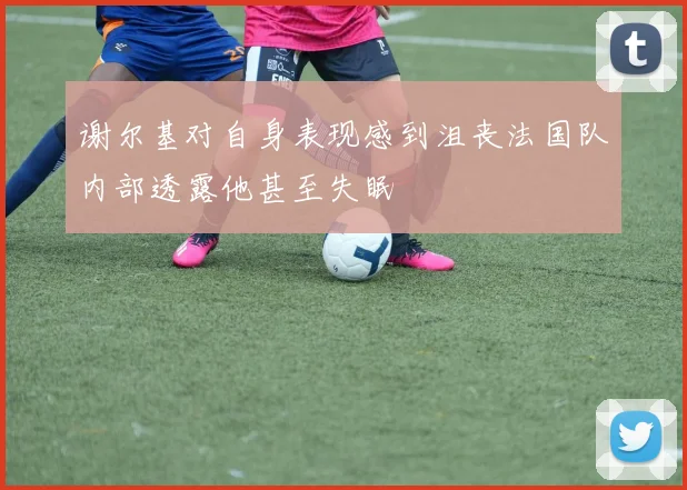 谢尔基对自身表现感到沮丧法国队内部透露他甚至失眠