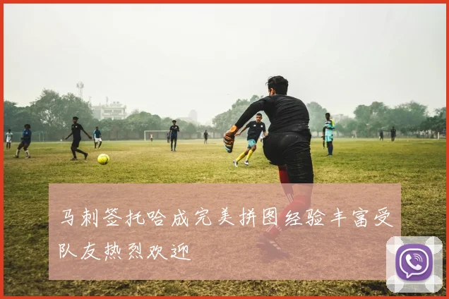 马刺签托哈成完美拼图经验丰富受队友热烈欢迎