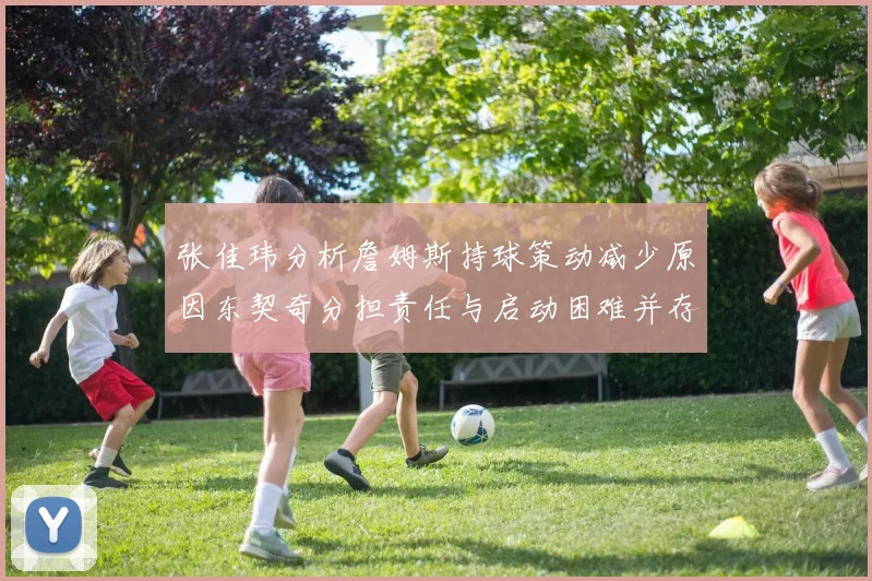 张佳玮分析詹姆斯持球策动减少原因东契奇分担责任与启动困难并存